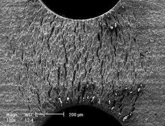 �����X�մ�Ϳ��KN1000Ϳ�ӷ���